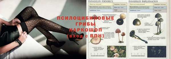 гидра Кулебаки