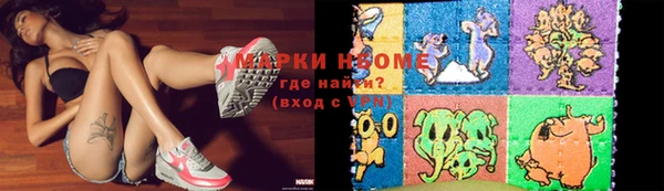 прущие грибы Кукмор