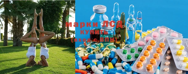 гидра Кулебаки
