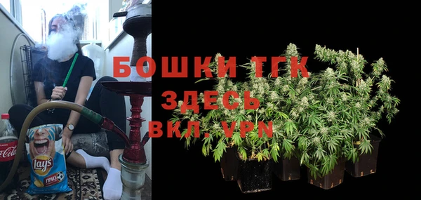 прущие грибы Кукмор