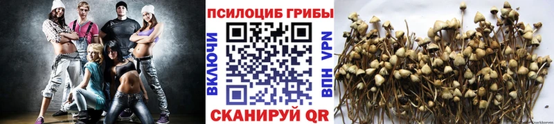 Псилоцибиновые грибы мухоморы  купить закладку  shop официальный сайт  Железногорск 